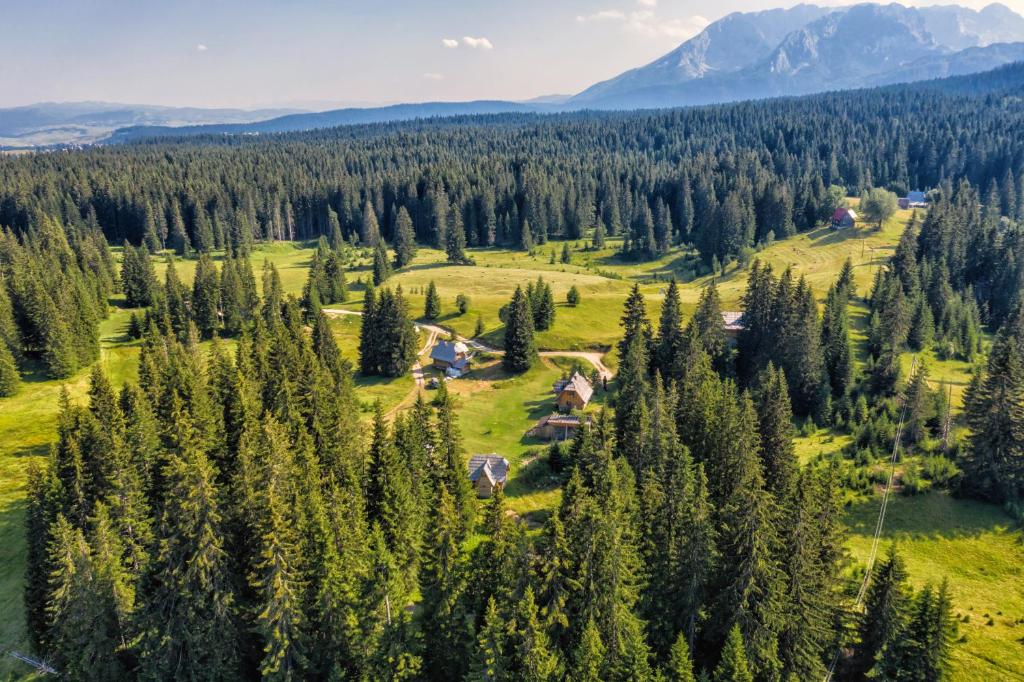 Veliki plac od 45.000 m² u naselju Nadgora, Žabljak